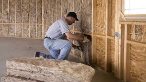 Best Eco-Friendly or Green Insulation Solutions  in Minneapolis, MN